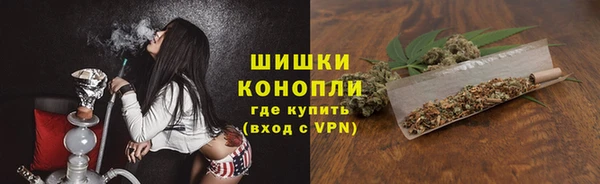 индика Балабаново