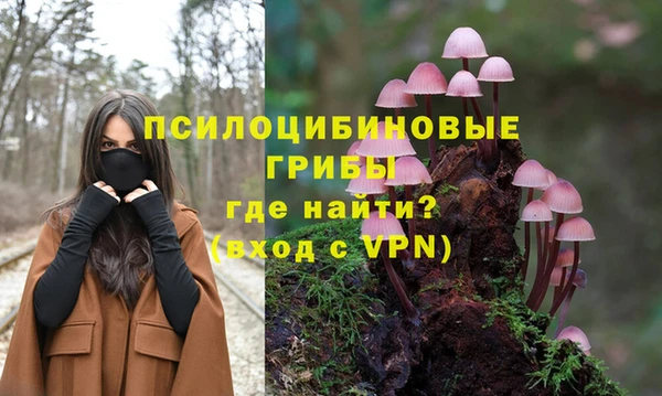индика Балабаново
