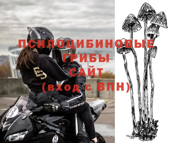 индика Балабаново